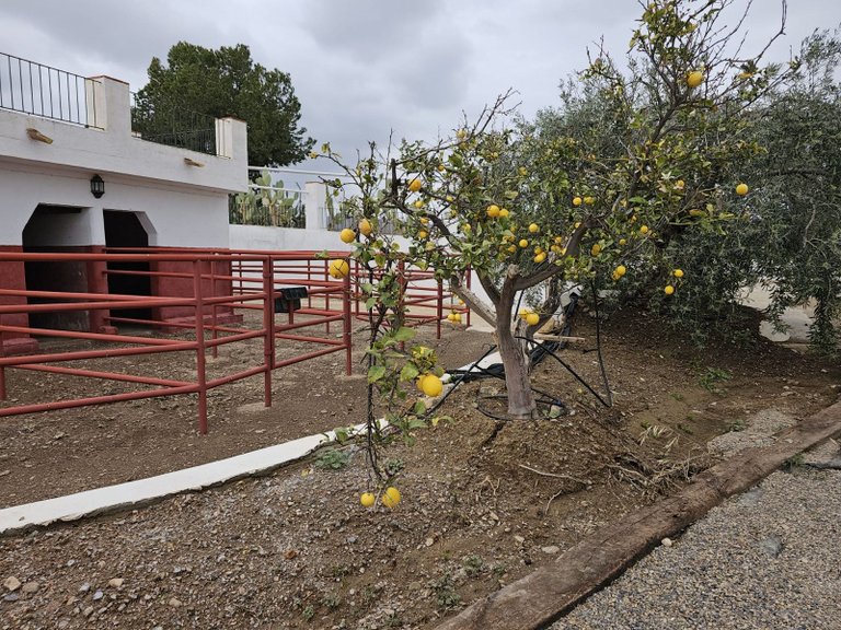 Villa for Sale in Aguilas, Alicante 18