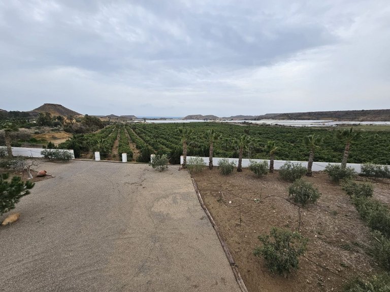 Villa for Sale in Aguilas, Alicante 30