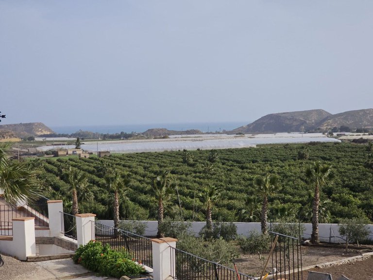 Villa for Sale in Aguilas, Alicante 39