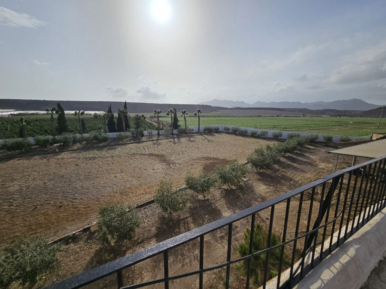 Villa for Sale in Aguilas, Alicante 49