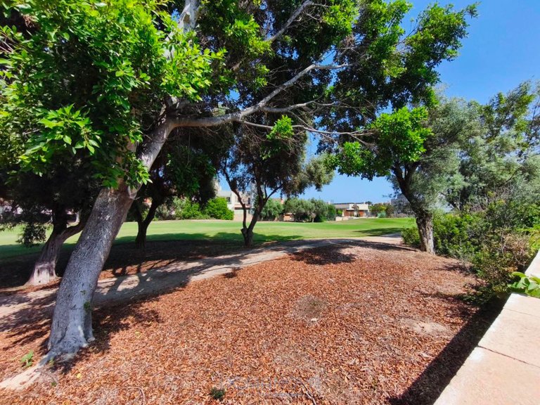Town House for Sale in Alicante/alacant, Alicante 6