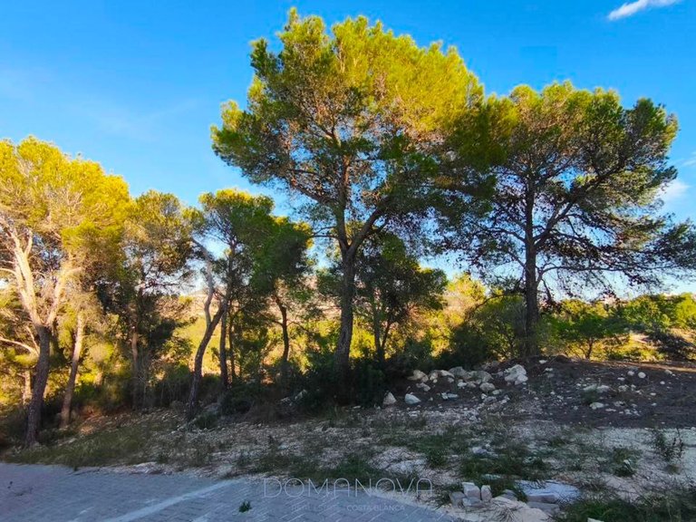 Country House for Sale in Teulada, Alicante 4
