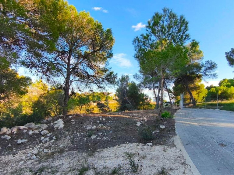 Country House for Sale in Teulada, Alicante 6
