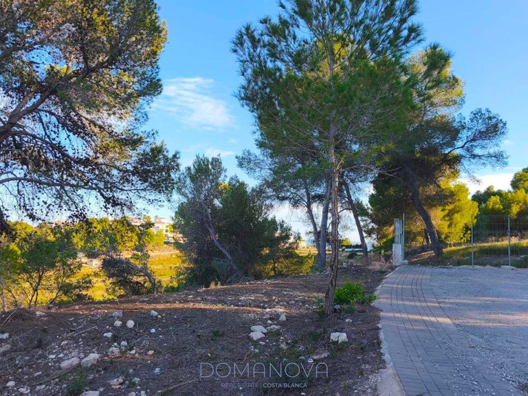 Country House for Sale in Teulada, Alicante 7