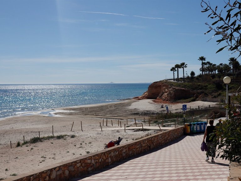 Penthouse for Sale in Mil Palmeras 1