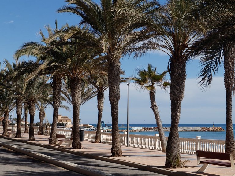 Penthouse for Sale in Mil Palmeras 2