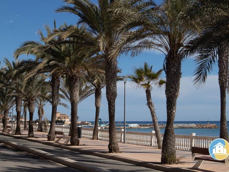 Apartment for Sale in Torre De La Horadada 6