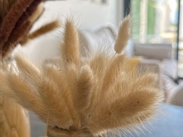 Apartment for Sale in San Fulgencio 13