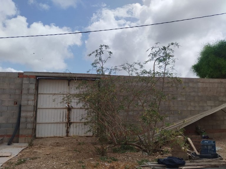 Villa for Sale in San Javier 15