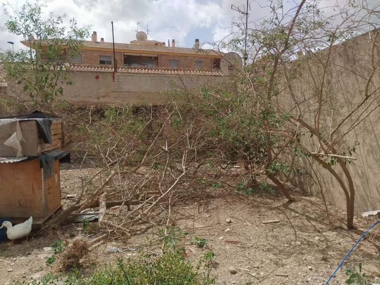 Villa for Sale in San Javier 23