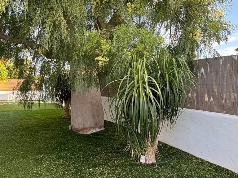 Villa for Sale in Santiago De La Ribera 34