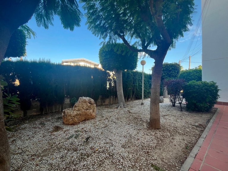 Apartment for Sale in Narejos, Los 20