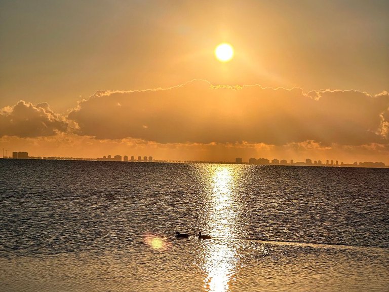 Town House for Sale in Narejos, Los 3