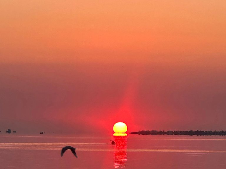 Town House for Sale in Narejos, Los 36