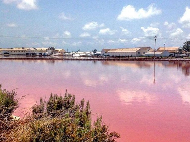 Apartment for Sale in San Pedro Del Pinatar 10