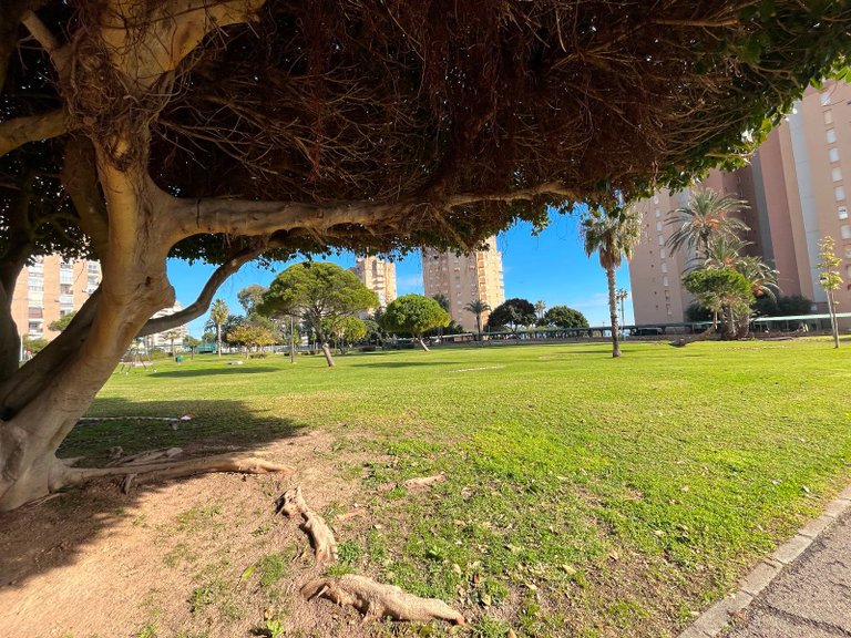 Apartment for Sale in Dehesa De Campoamor 33