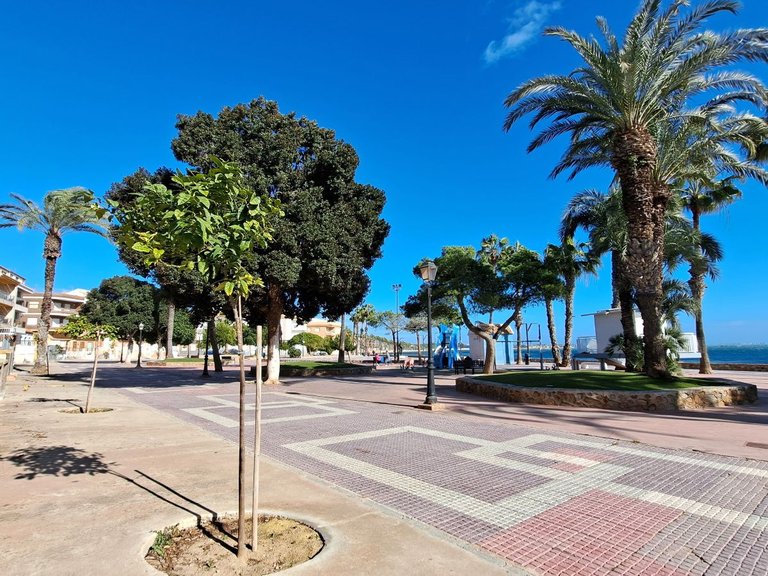 Apartment for Sale in Los Alcazares 4