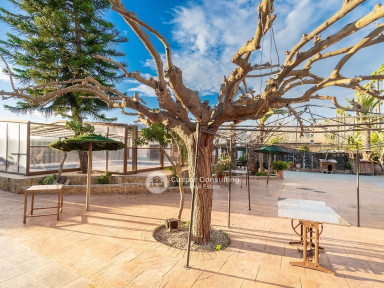 Villa for Sale in Orihuela 3