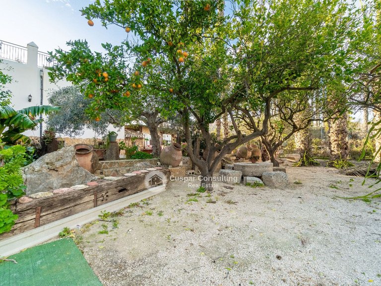 Villa for Sale in Orihuela 6