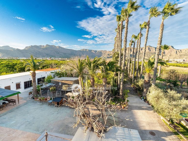 Villa for Sale in Orihuela 9