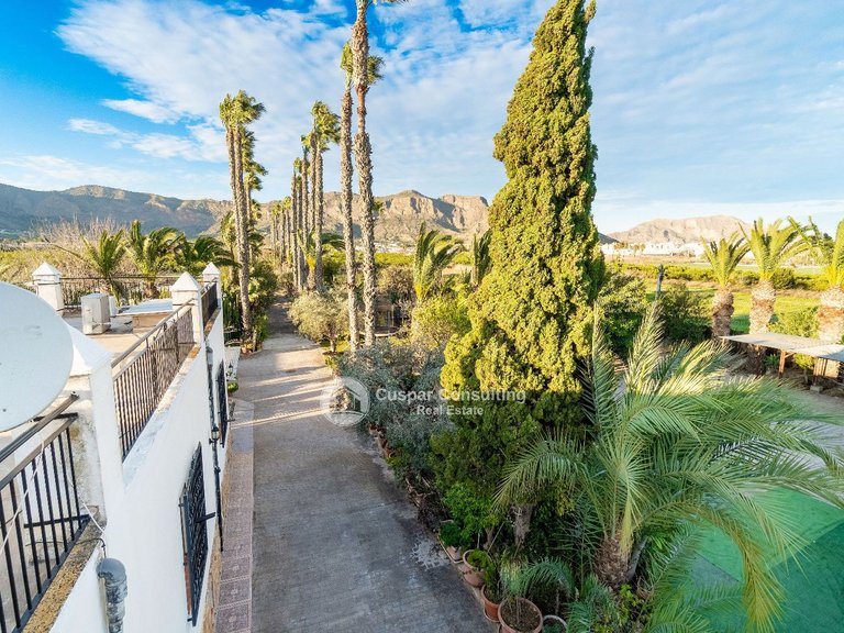 Villa for Sale in Orihuela 10