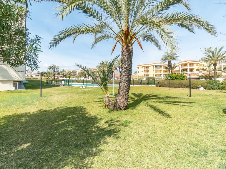 Apartment for Sale in Punta Prima 31
