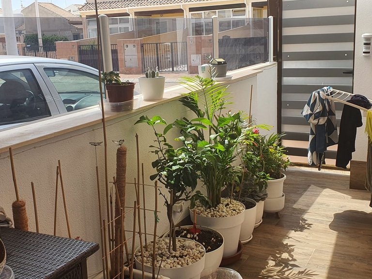 Apartment for Sale in San Pedro Del Pinatar 2