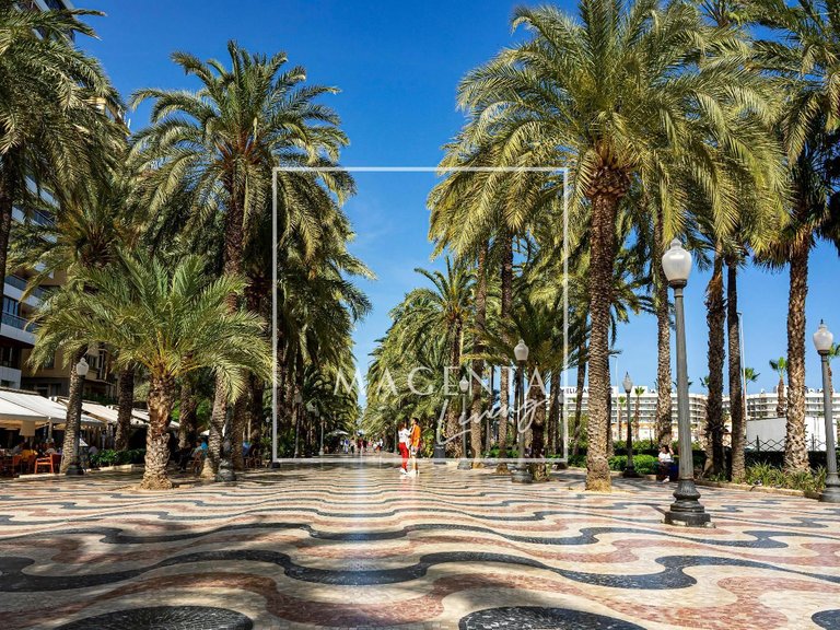 Apartment for Sale in Alicante/alacant, Alicante 28