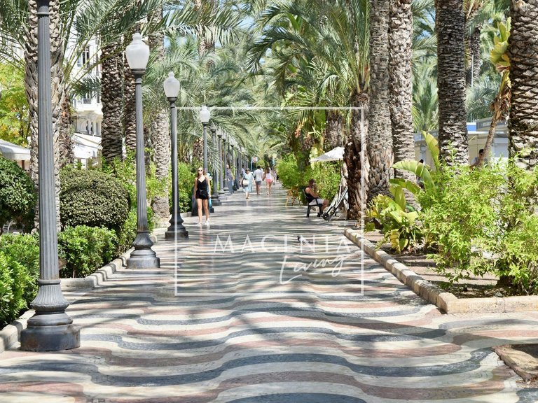 Apartment for Sale in Alicante/alacant, Alicante 23