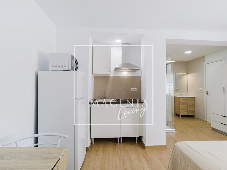Apartment for Rent in Alicante/alacant, Alicante 10
