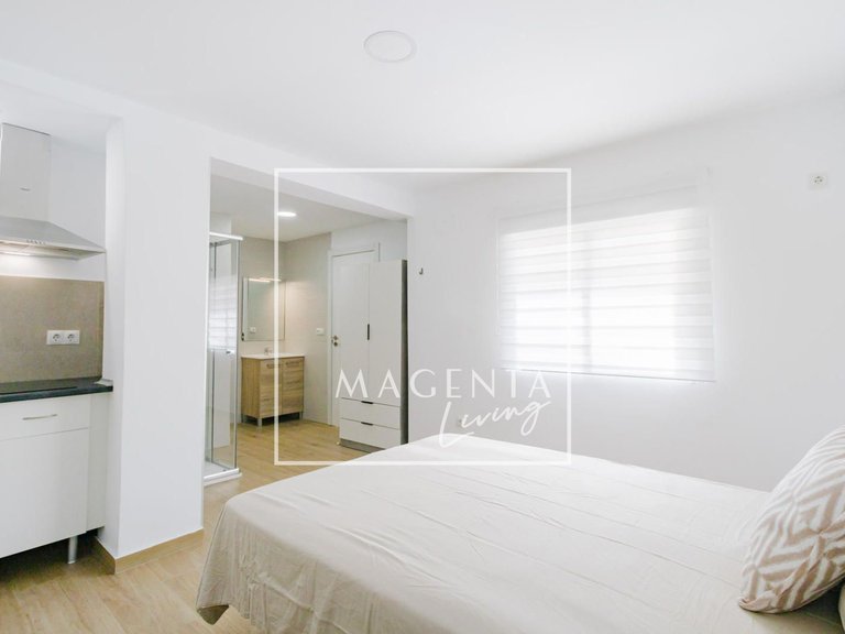 Apartment for Rent in Alicante/alacant, Alicante 9