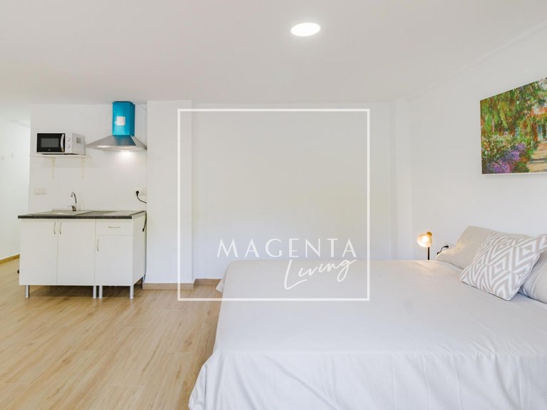 Apartment for Rent in Alicante/alacant, Alicante 8