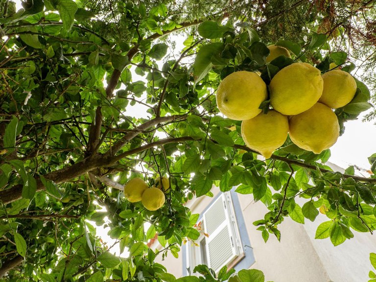 Town House for Sale in Ciutadella De Menorca 6