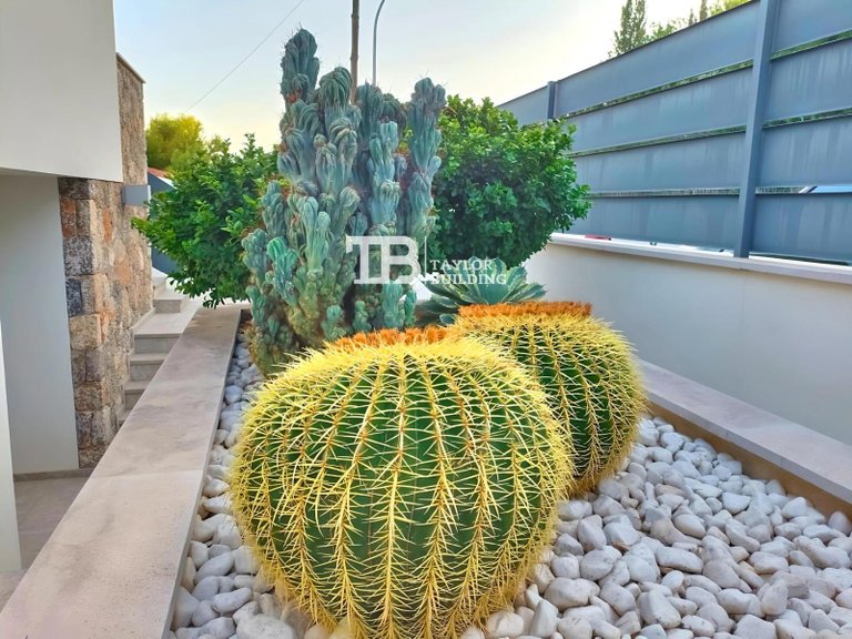 Villa for Sale in Pinar, Calvià 18