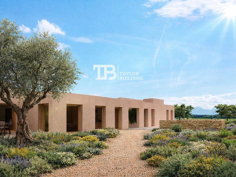 Plot for Sale in , Selva 10