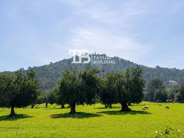 Plot for Sale in , Selva 2