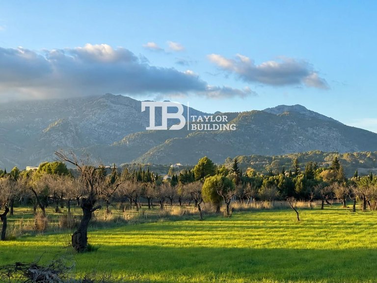Plot for Sale in , Selva 15