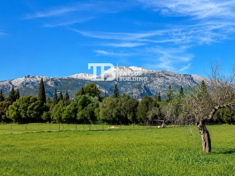 Plot for Sale in , Selva 16
