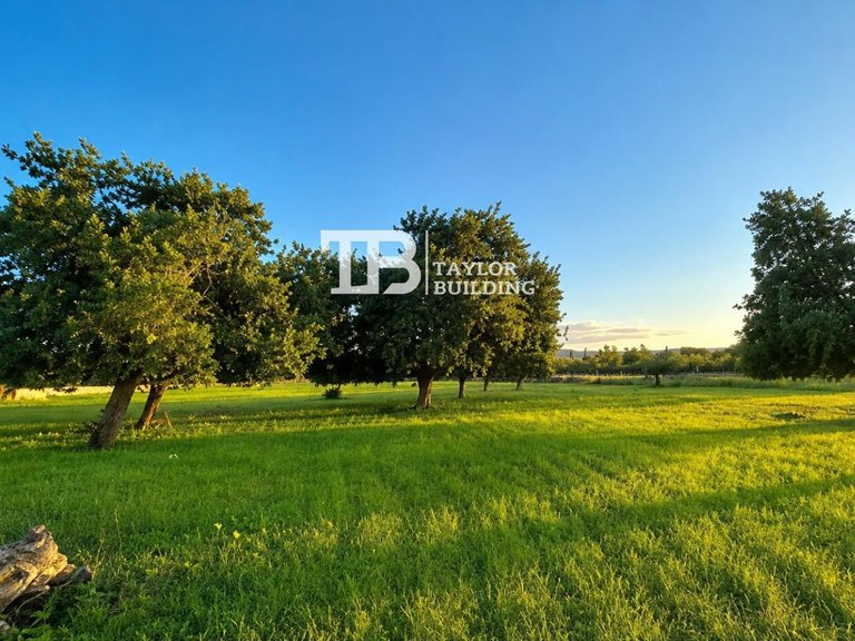Plot for Sale in , Selva 7
