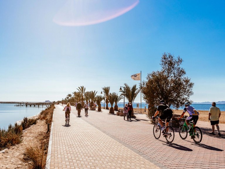 Apartment for Sale in Pilar De La Horadada, Alicante 30