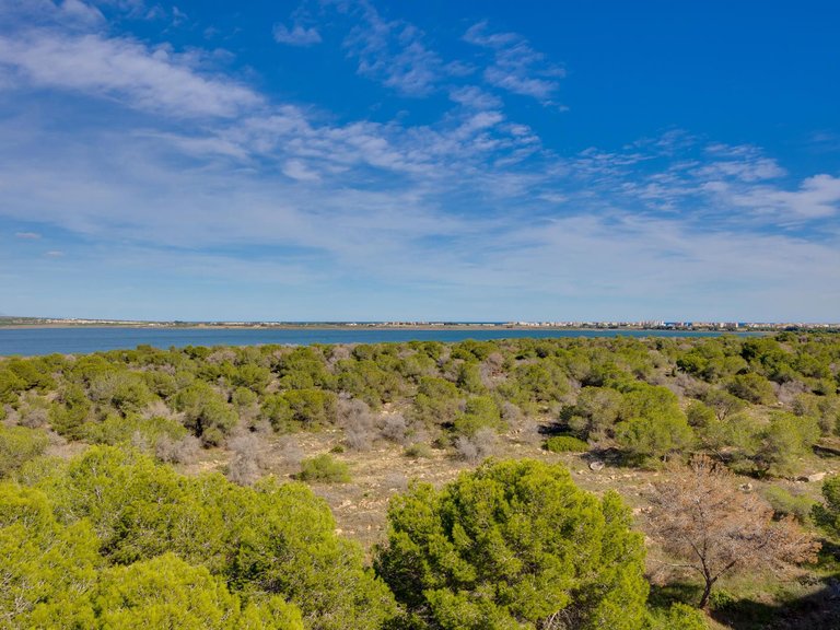 Apartment for Sale in Torrevieja, Alicante 35
