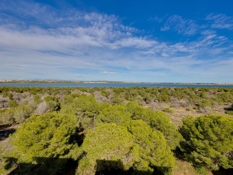Apartment for Sale in Torrevieja, Alicante 36