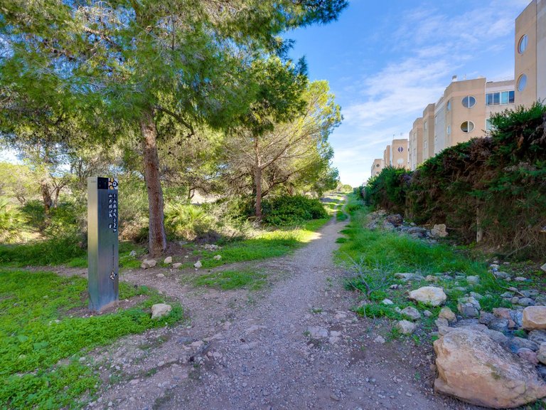 Apartment for Sale in Torrevieja, Alicante 41
