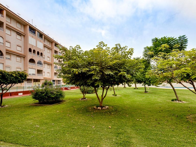 Apartment for Sale in Torrevieja, Alicante 39