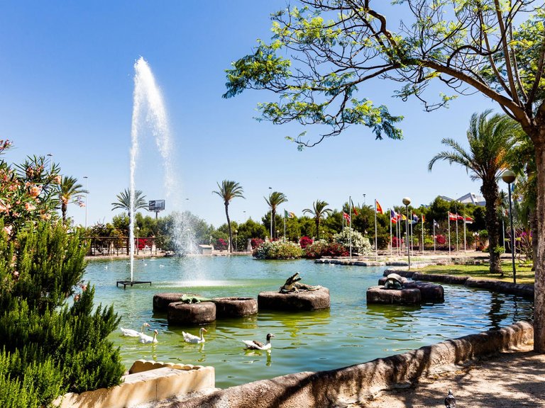 Apartment for Sale in Torrevieja, Alicante 50