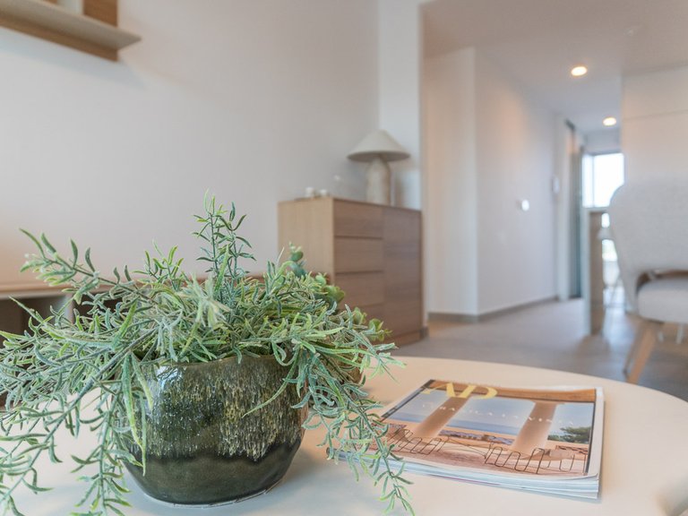 Apartment for Sale in Playa Flamenca, Alicante 15