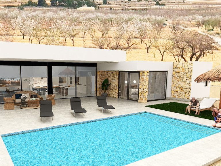 Villa for Sale in Pinoso, Alicante 7