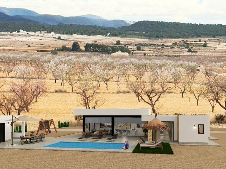 Villa for Sale in Pinoso, Alicante 8