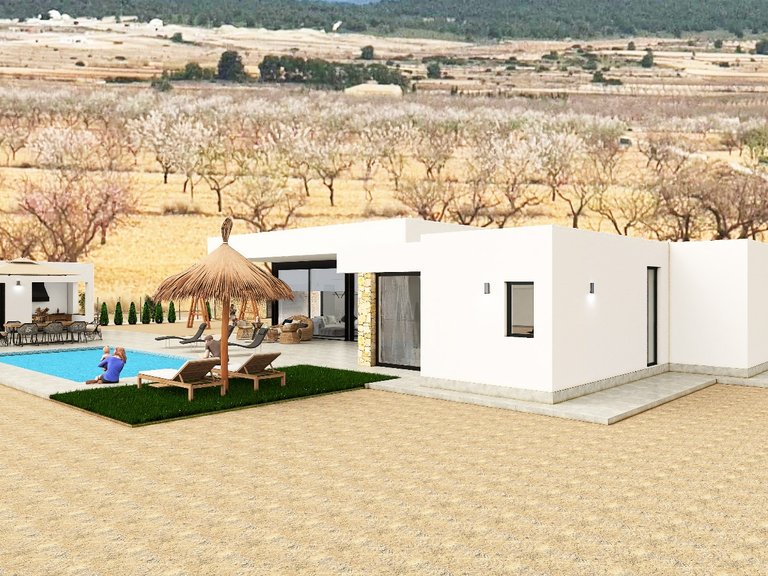 Villa for Sale in Pinoso, Alicante 9