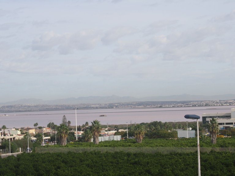 Town House for Sale in Torrevieja, Alicante 6